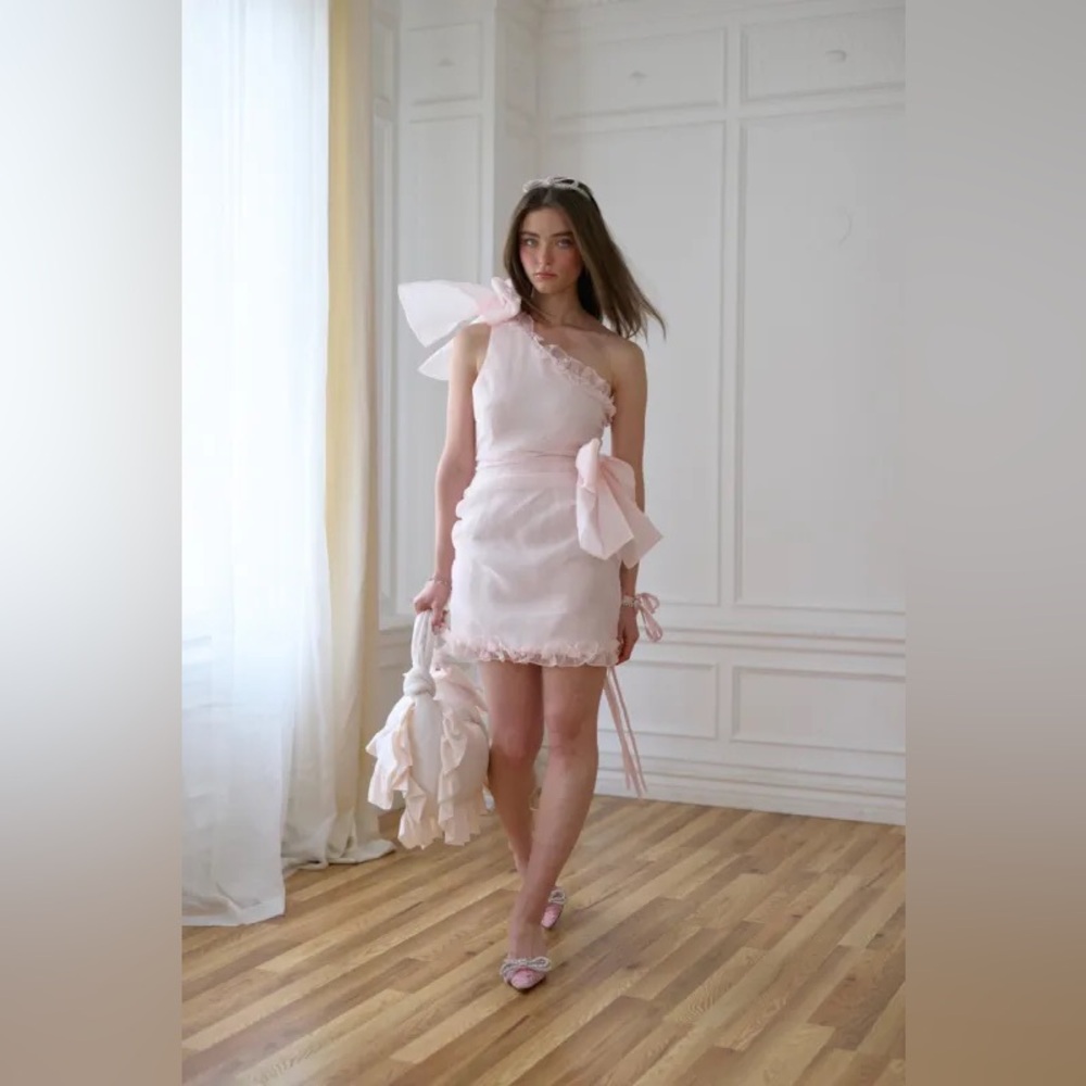 NWT Selkie Strawberry Milk Carrie Dress 1X